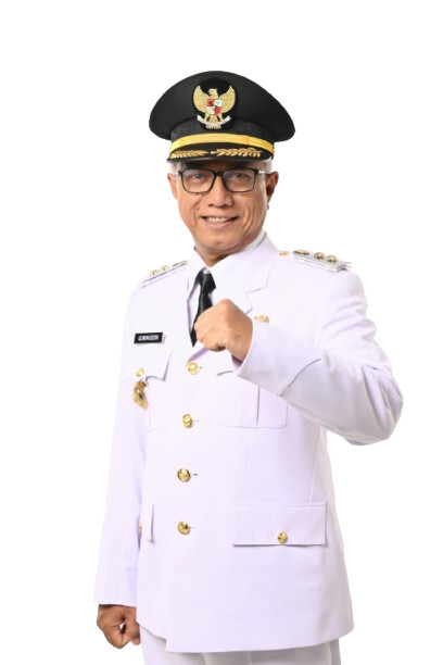 Wakil Walikota